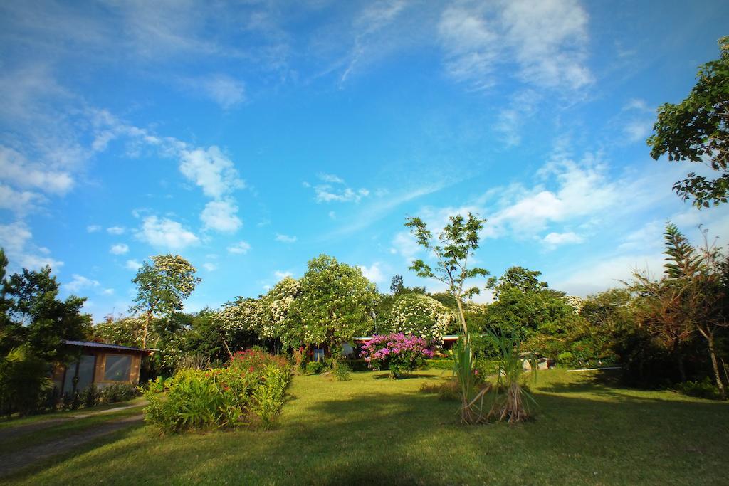 卡瓦尼亚斯绿庭园酒店 Monteverde 客房 照片