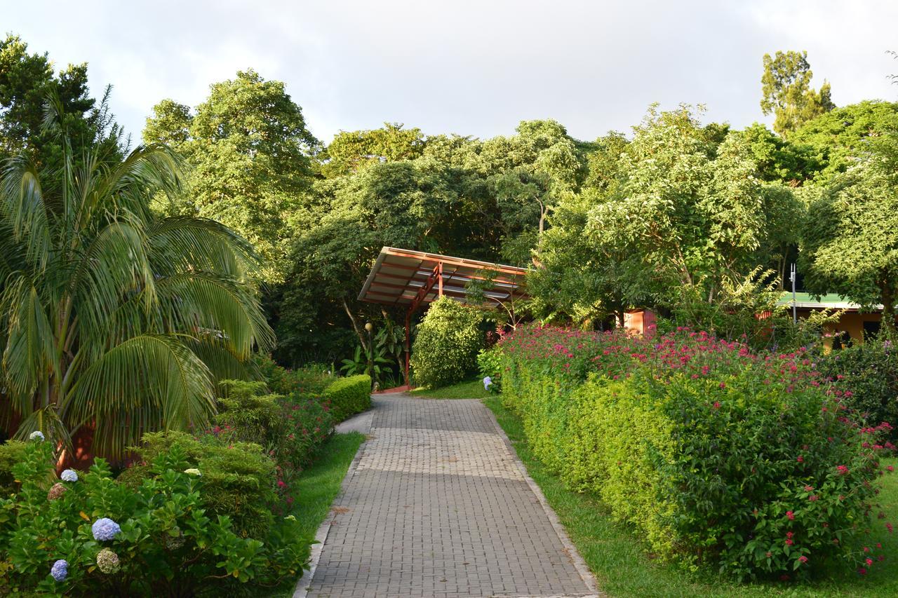 卡瓦尼亚斯绿庭园酒店 Monteverde 外观 照片